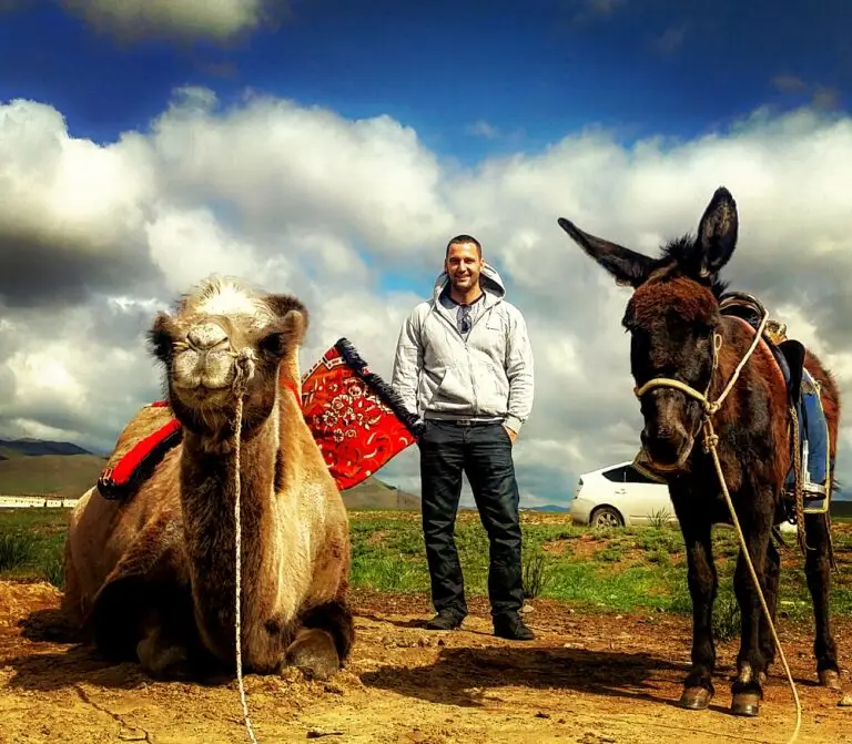 Mongol sivatag